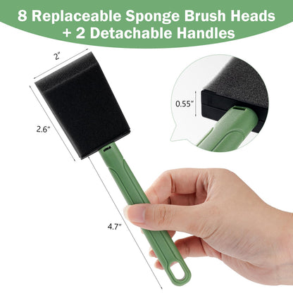 2 inch Sponge Brushes Set with Detachable Handle -8 pack
